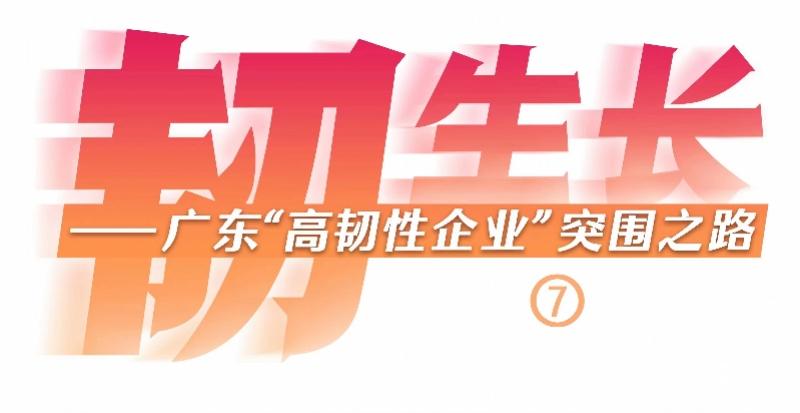 香港精准高手料网站