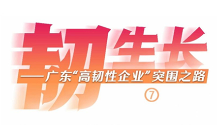 香港精准高手料网站
